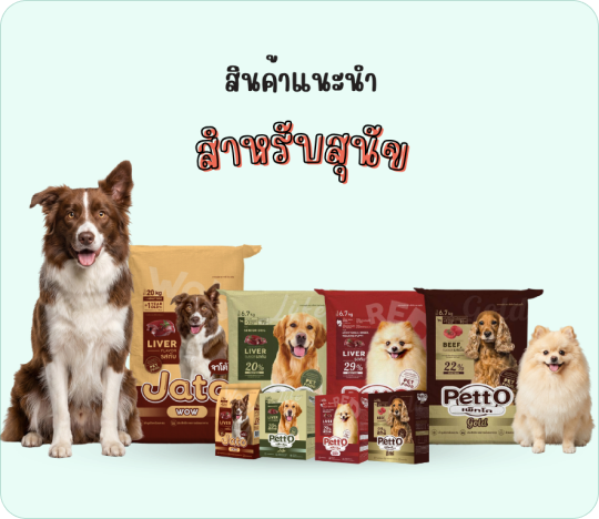 สินค้าสำหรับสุนัข