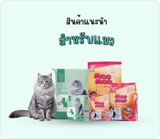 สินค้าสำหรับแมว